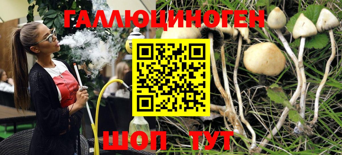 Старая Купавна  Псилоцибиновые грибы MAGIC MUSHROOMS  Галлюциногенные грибы Cubensis  Вход с VPN 