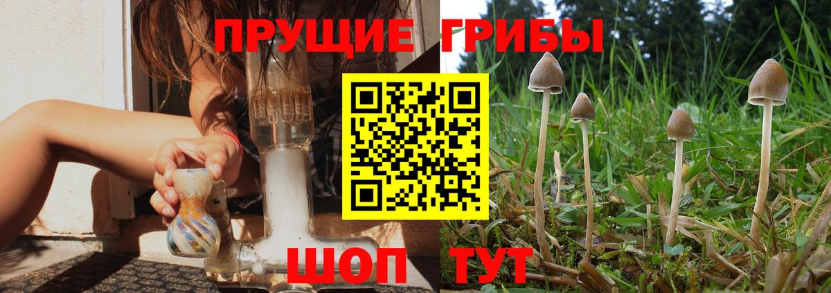 Галлюциногенные грибы мухоморы Старая Купавна